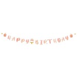 Γιρλάντα Happy Birthday Rose Confetti 3m